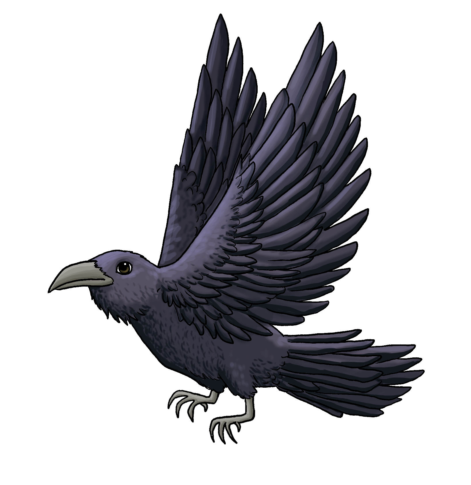 Raven